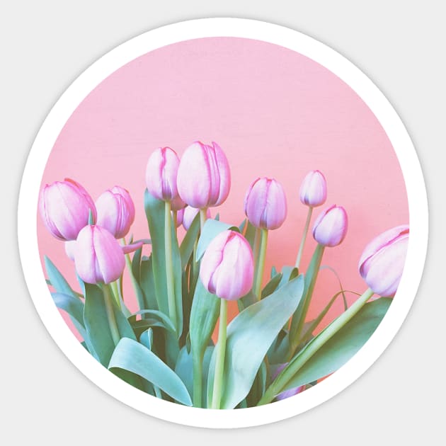 Spring Tulips Sticker by Cassia